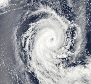 2024년 태풍 예상