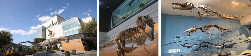 서대문자연사박물관