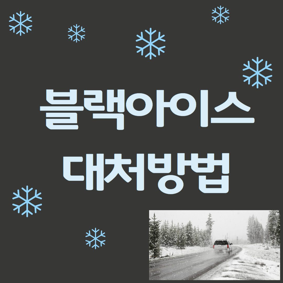 블랙아이스 대처방법