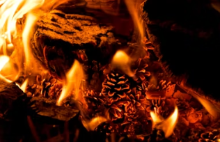 보일러 교체 지원금 신청방법 교체비용 교체시기