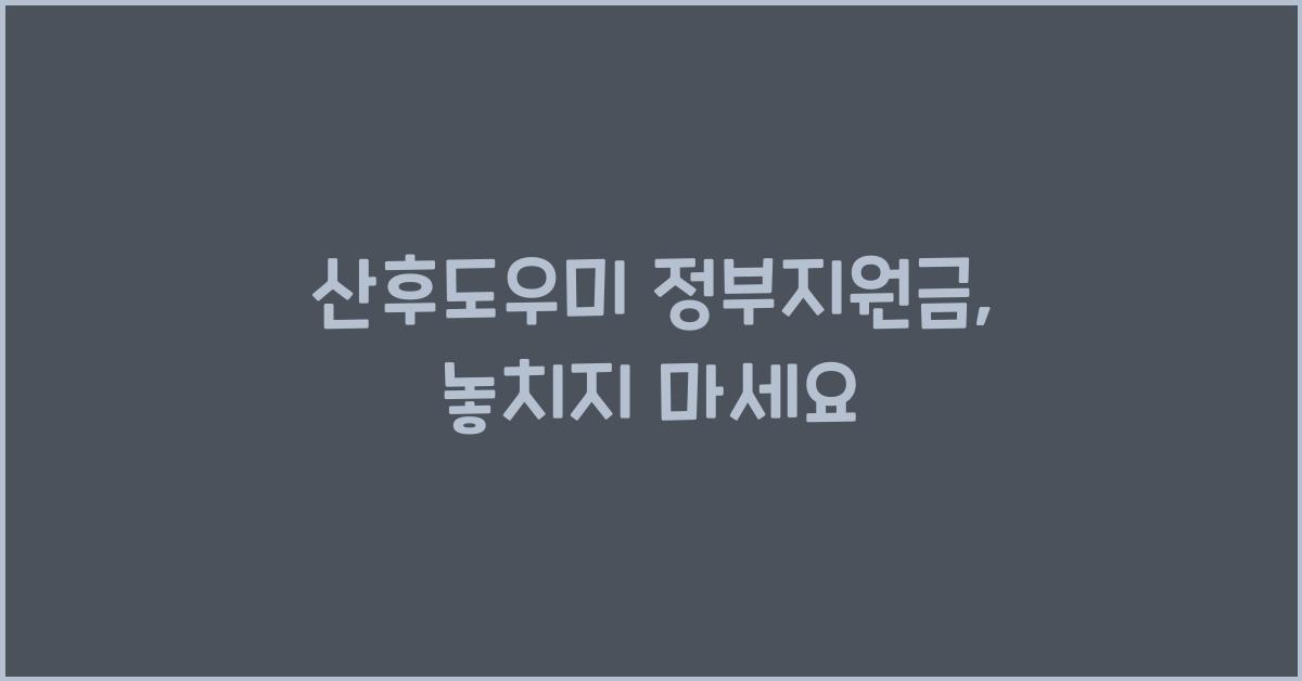 산후도우미 정부지원금