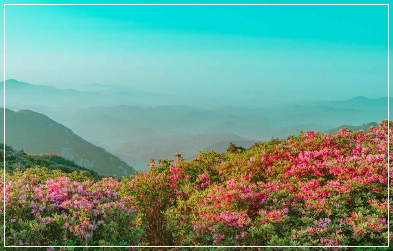 합천 가볼만한곳 베스트10 황매산