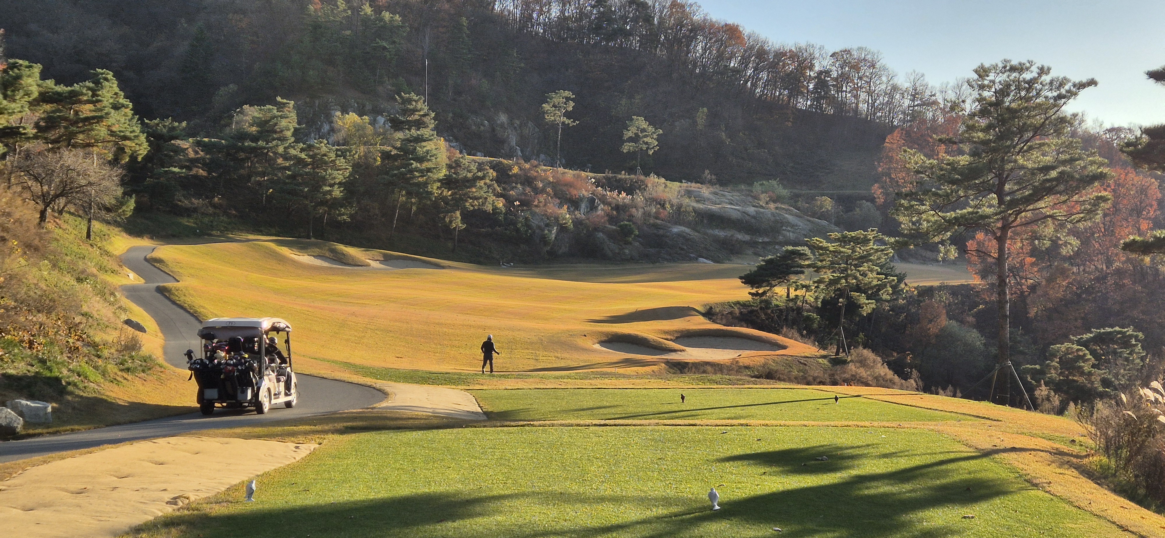 이글몬트cc 몬트 코스 사진 및 공략 정보