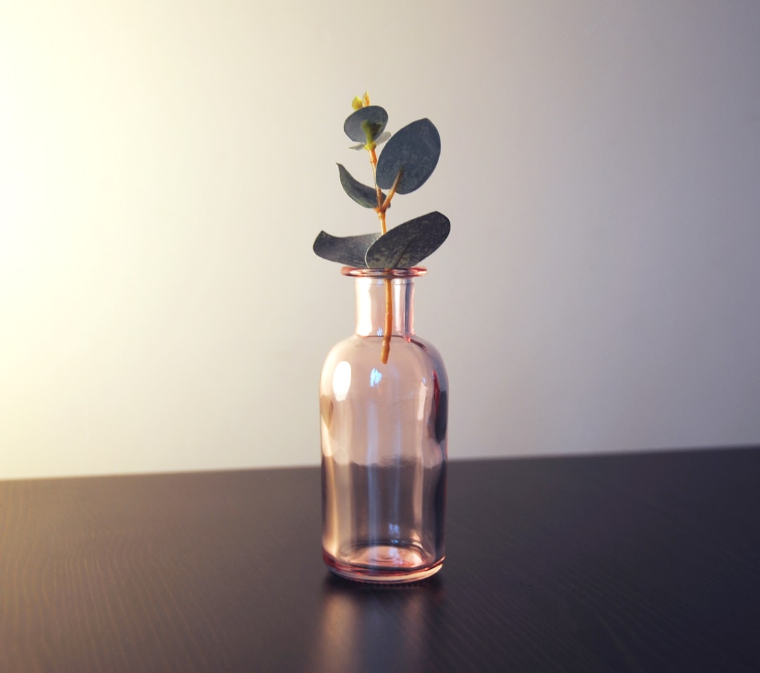 Bottle