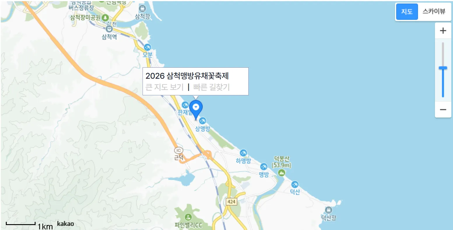 강원도 삼척 맹방 유채꽃 축제