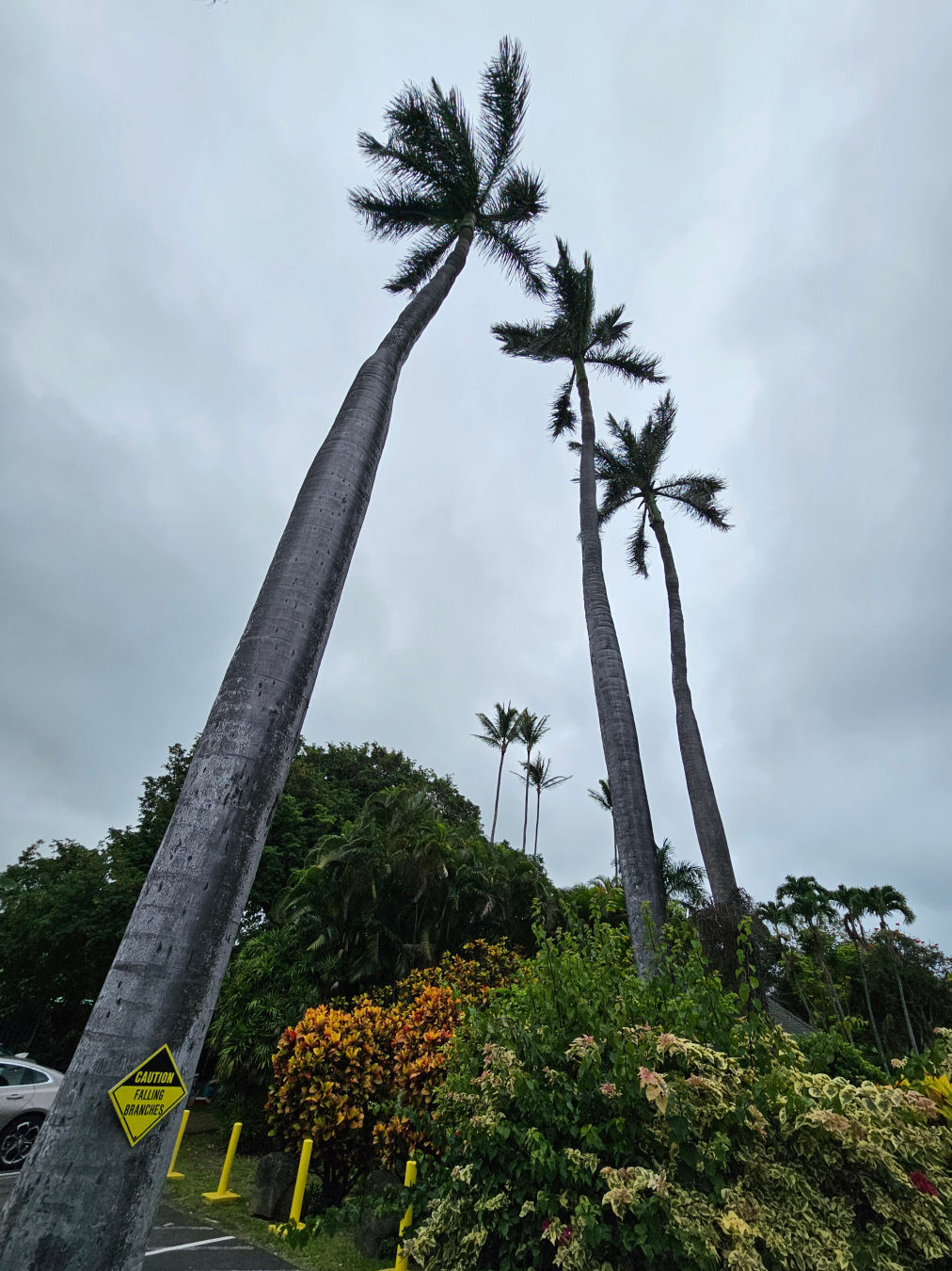 푸날루우 베이크샵 주차장