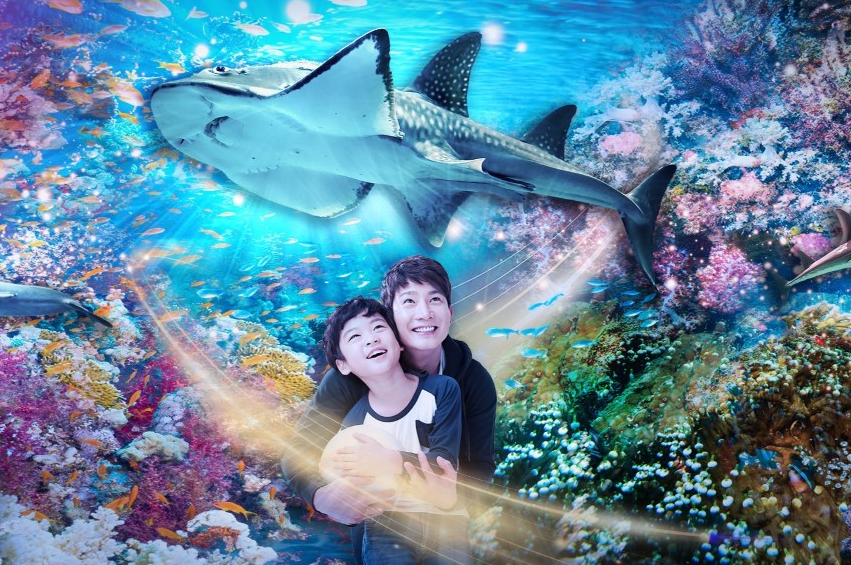 부산 아쿠아리움 최대 할인 방법 (최저가 입장료 구매)