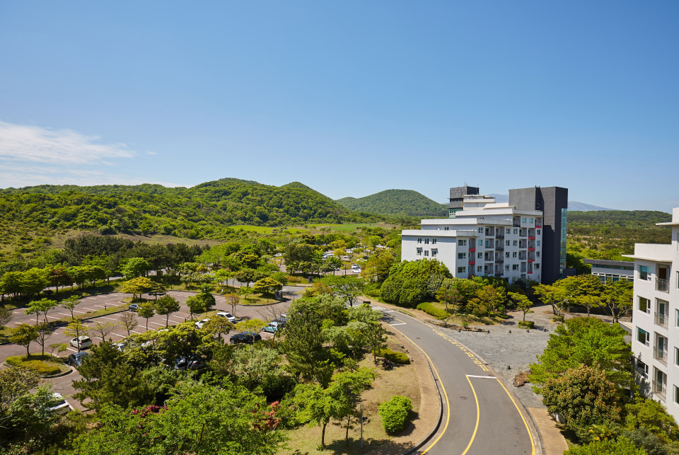 미스터멘션 제주