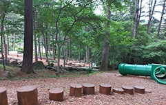 가평 잣향기푸른숲 예약