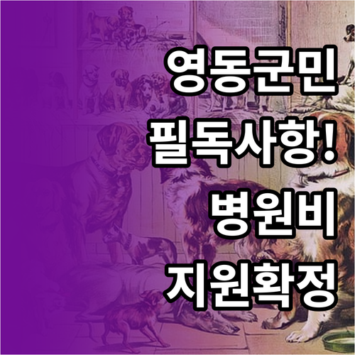 영동군 반려동물 의료비 지원 사업 대..
