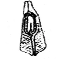 산림기능사 전망_6