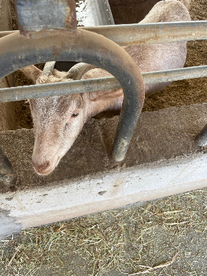 아그로랜드 체험목장