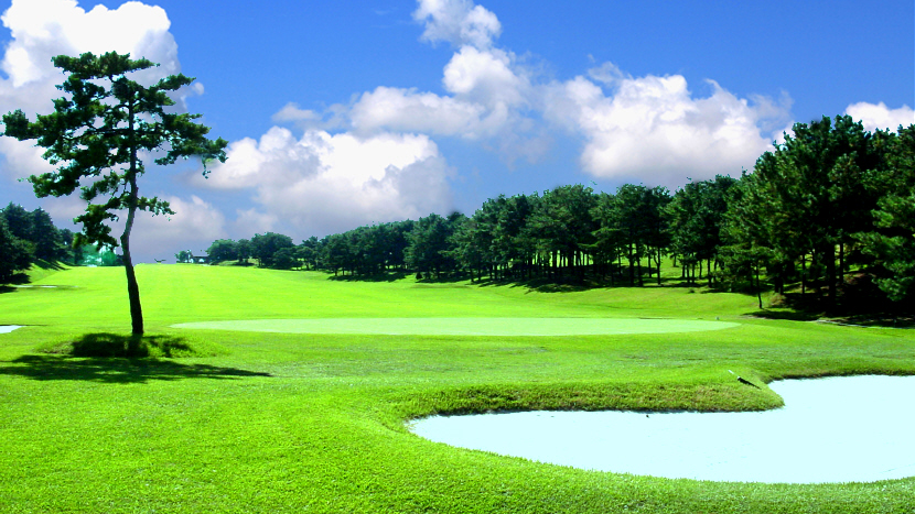 도고 컨트리클럽