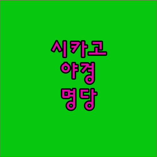 시카고 리버워크 야경 명당 위치와 평..