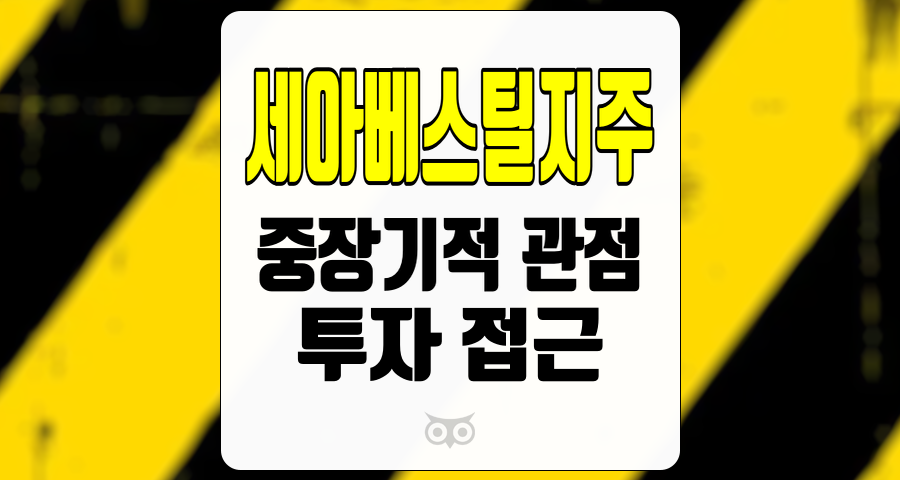 세아베스틸지주, 중장기적 관점에서의 투자 접근 분석