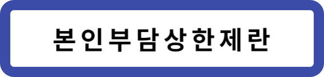 본인부담상한제