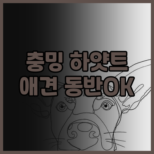 충밍 진마오 하얏트 리젠시 호텔..