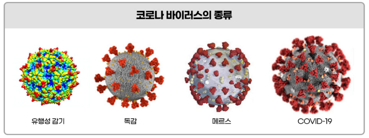 요즘 코로나 약 일반의약품으로는 어떤 것들이 있을까?