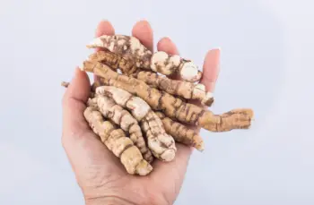 백수오 효능 및 영양성분, 주의점