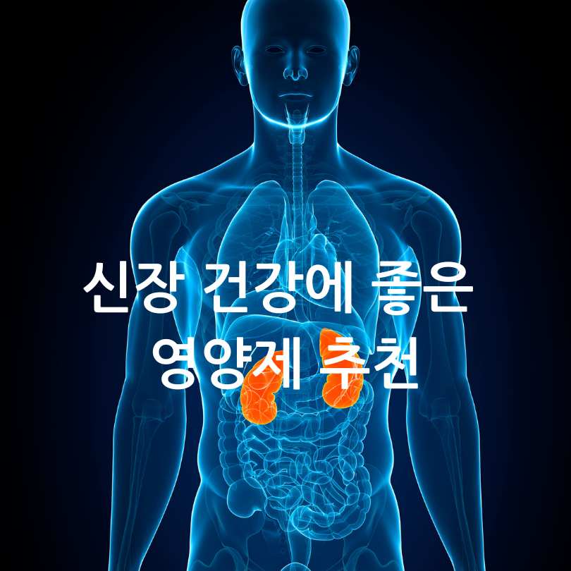 신장에좋은영양제