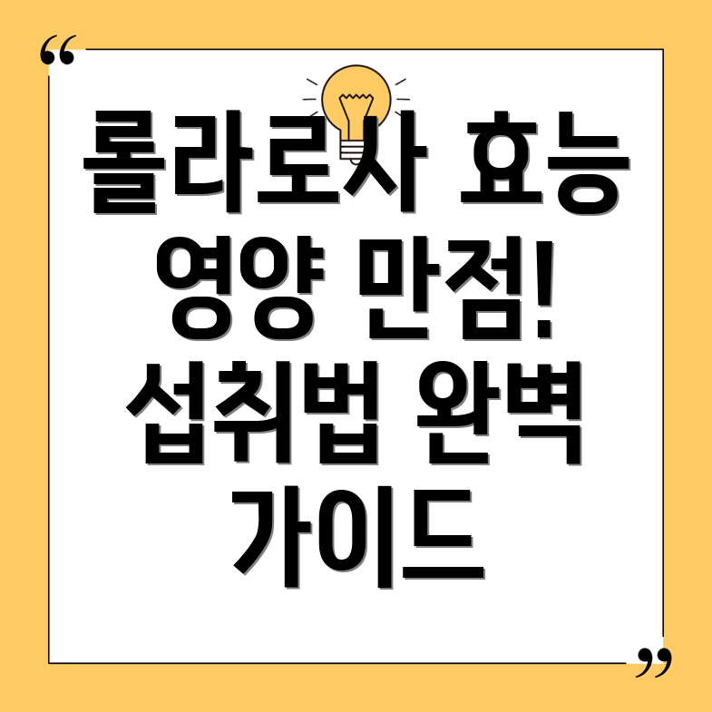 롤라로사