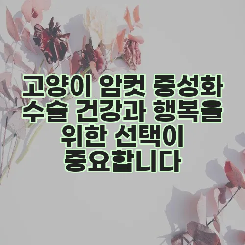 고양이 암컷 중성화 수술 건강과 행복을 위한 선택이 중요합니다