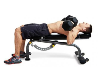 덤벨 벤치프레스 이완동작