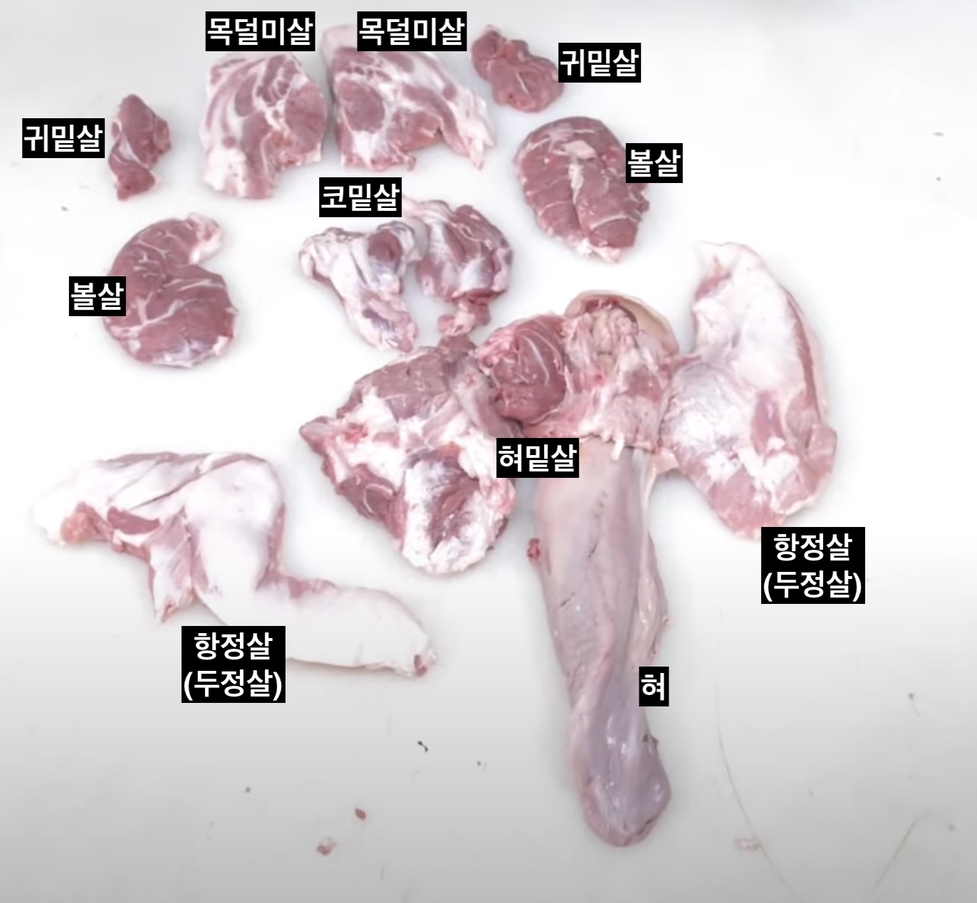 뒷고기-뜻-부위