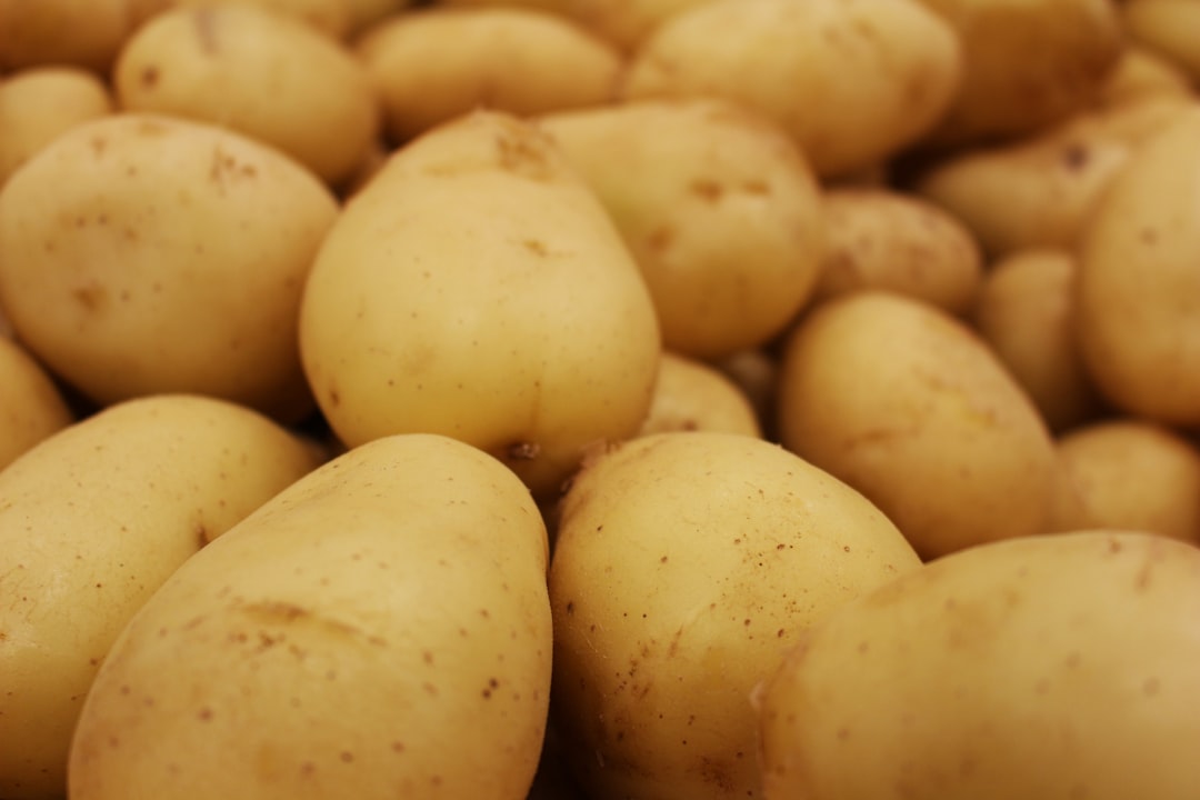 Potato