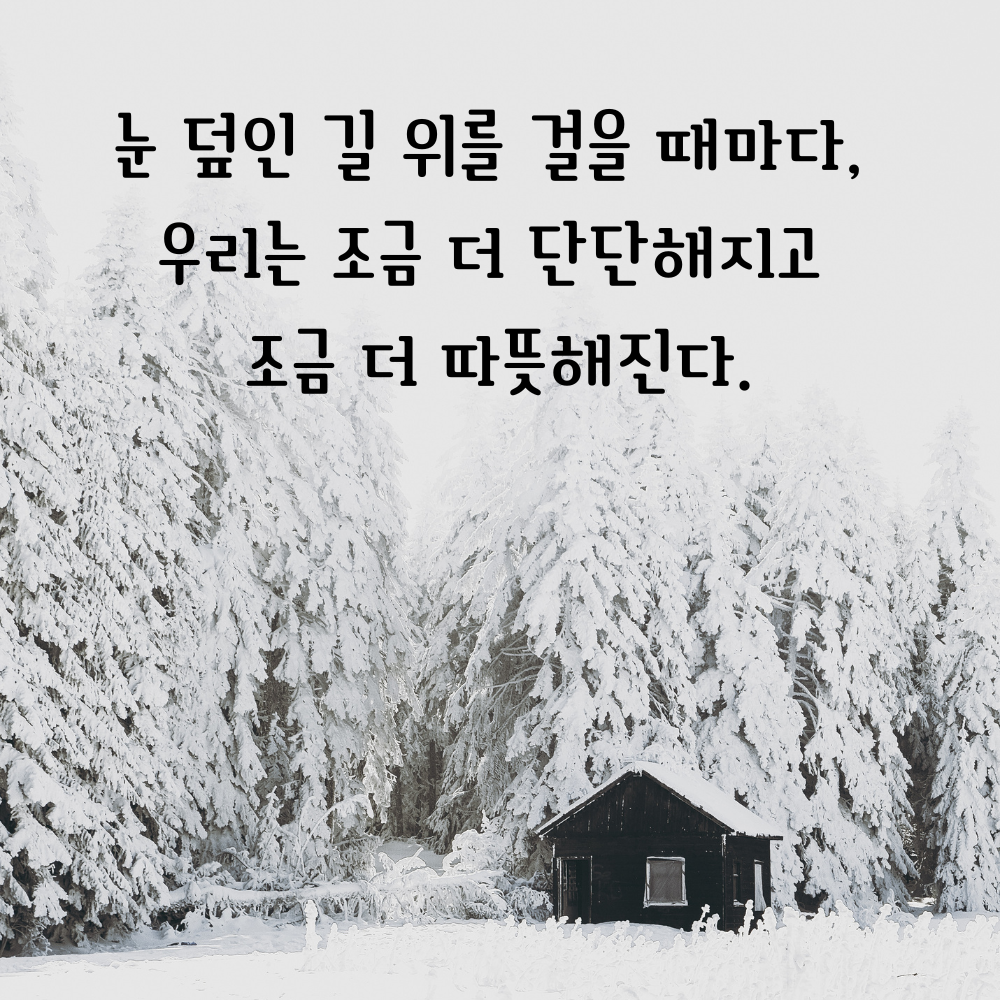 겨울 좋은 글귀 겨울 명언 문구 이미지