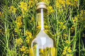 카놀라유-관련이미지