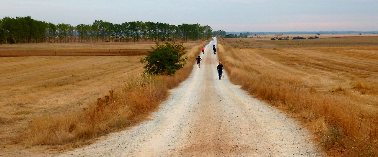 산티아고 프랑스길 관련사진