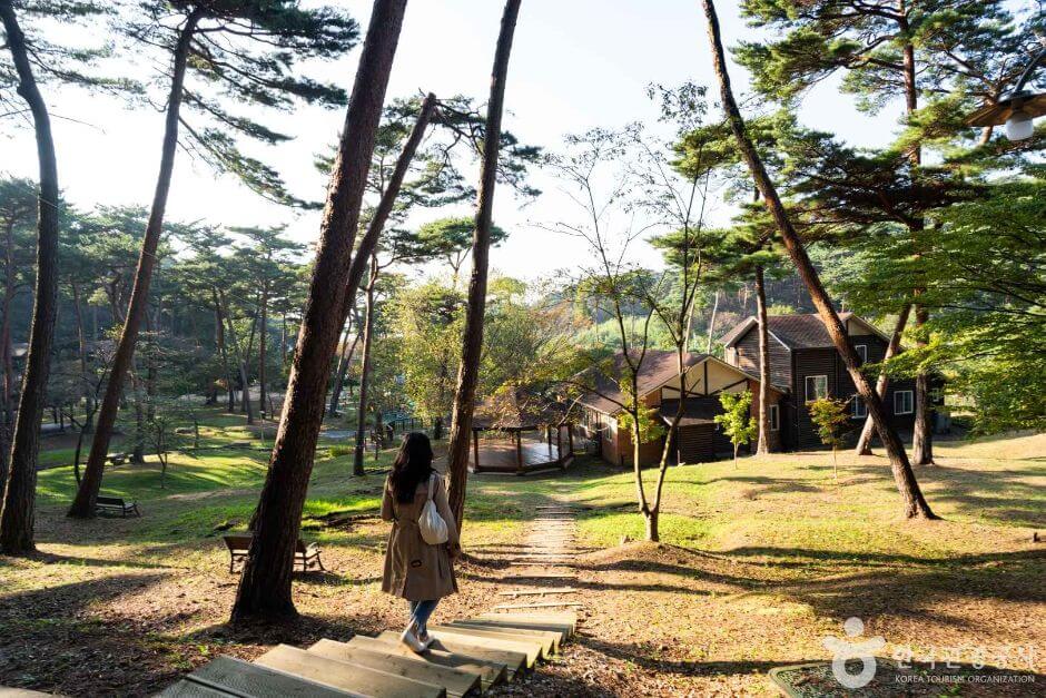 서해안 가볼만한곳 베스트 10