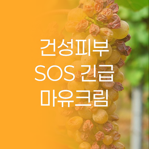 건성 피부 SOS! 크리스마 마유 크