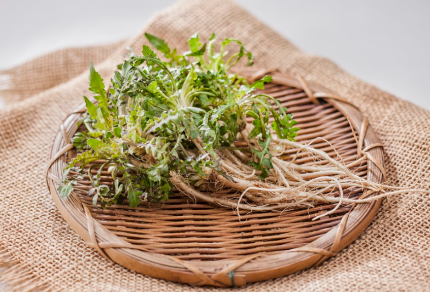 냉이(출처:서울시 블로그)