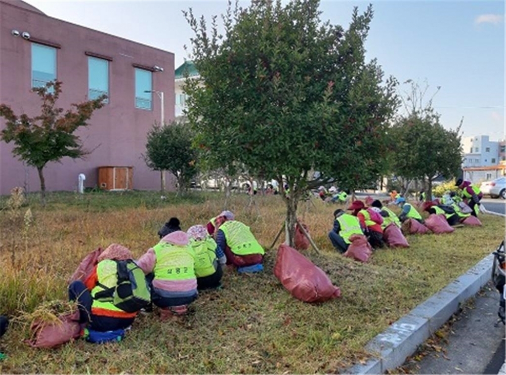 장년 워크넷 홈페이지