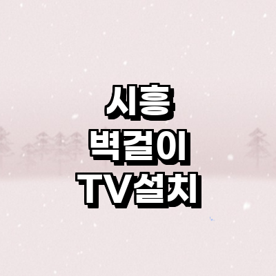 시흥시 벽걸이tv