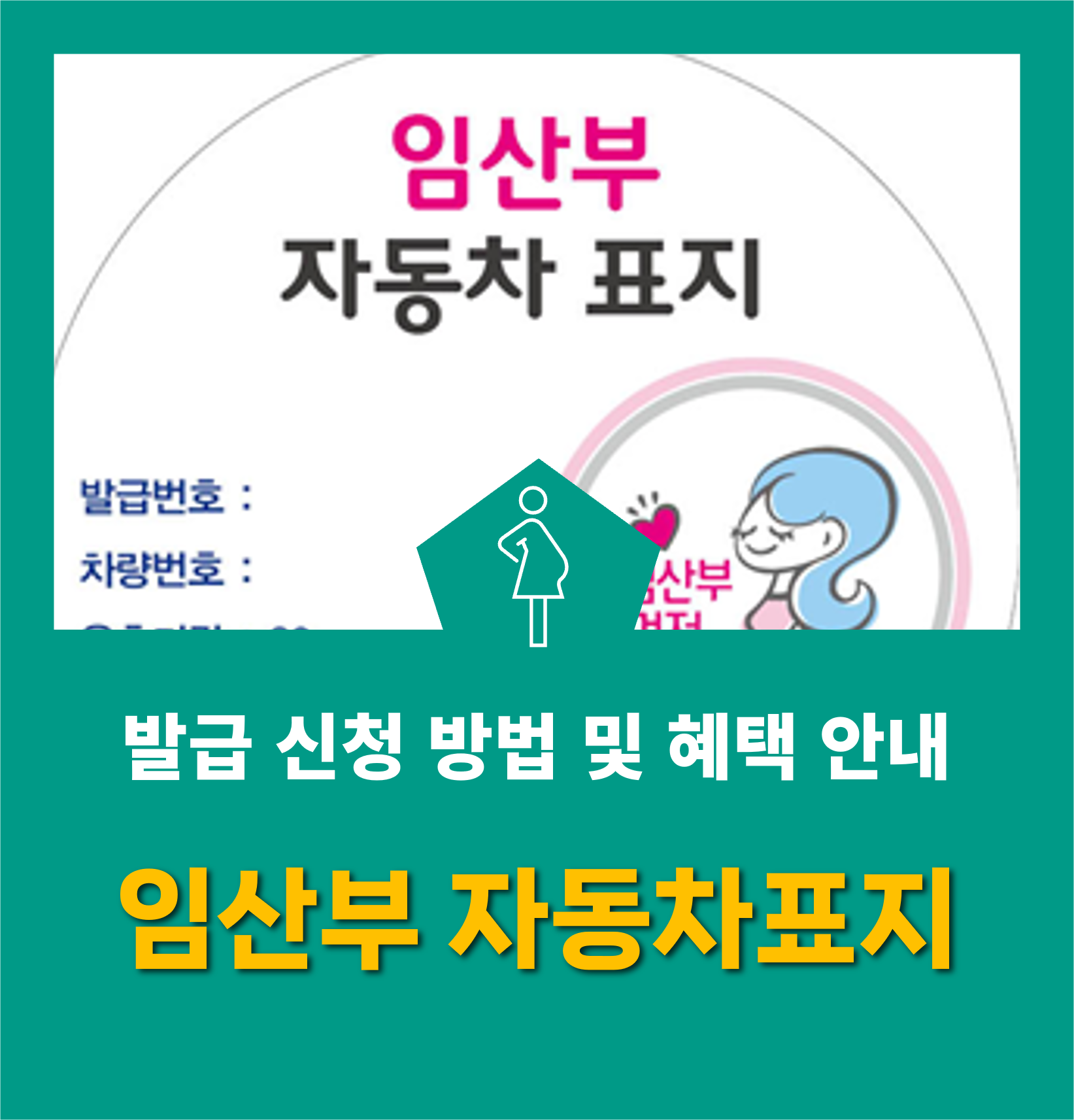 임산부 자동차 표지 대표사진