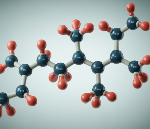 파비플로라 효능