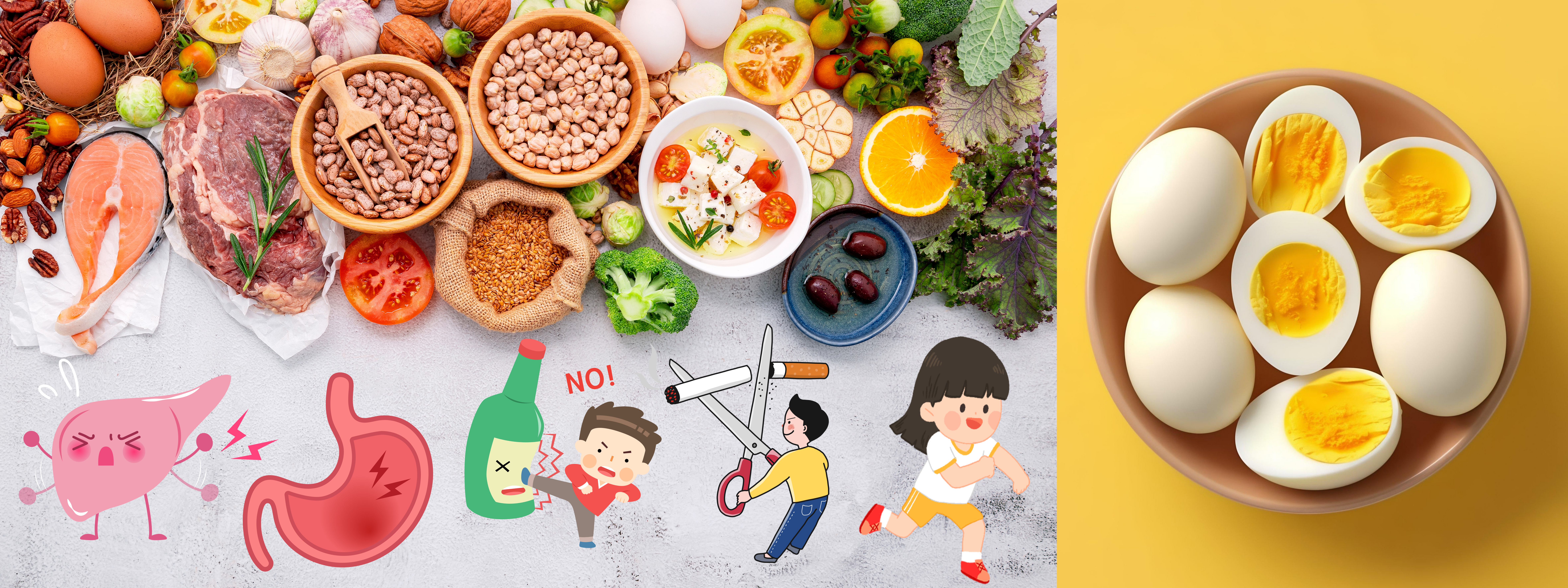 알부민 단백질 건강식품