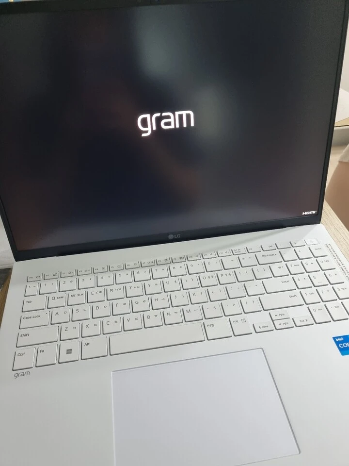 엘지그램 2023년형 게임 발열 심할까요