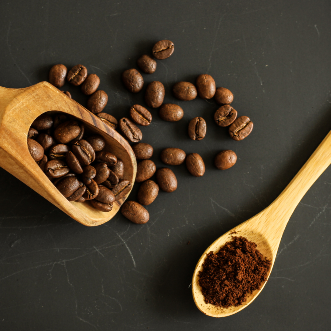 속초 카페 관련 사진