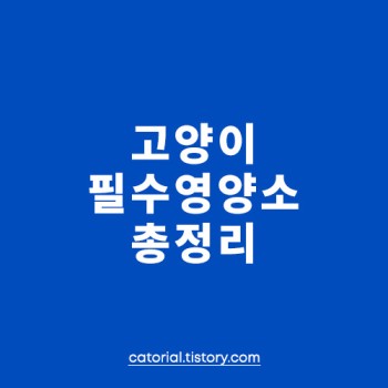 고양이 단백질