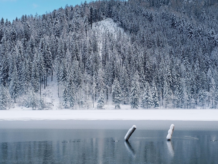 눈 내린 산 사진