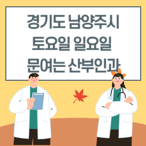 경기도 남양주시 토요일 일요일 산부인과 진료 문여는 병원 리스트