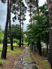 서울 가볼만한 곳 경의선숲길