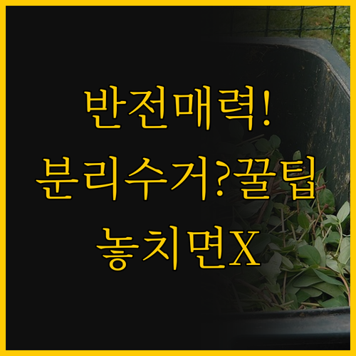당신이 몰랐던 분리수거함의 비밀 위드..