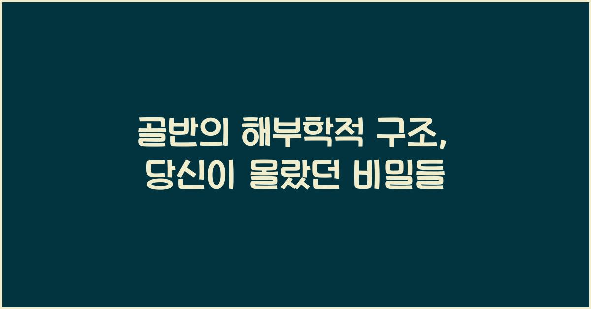 골반의 해부학적 구조