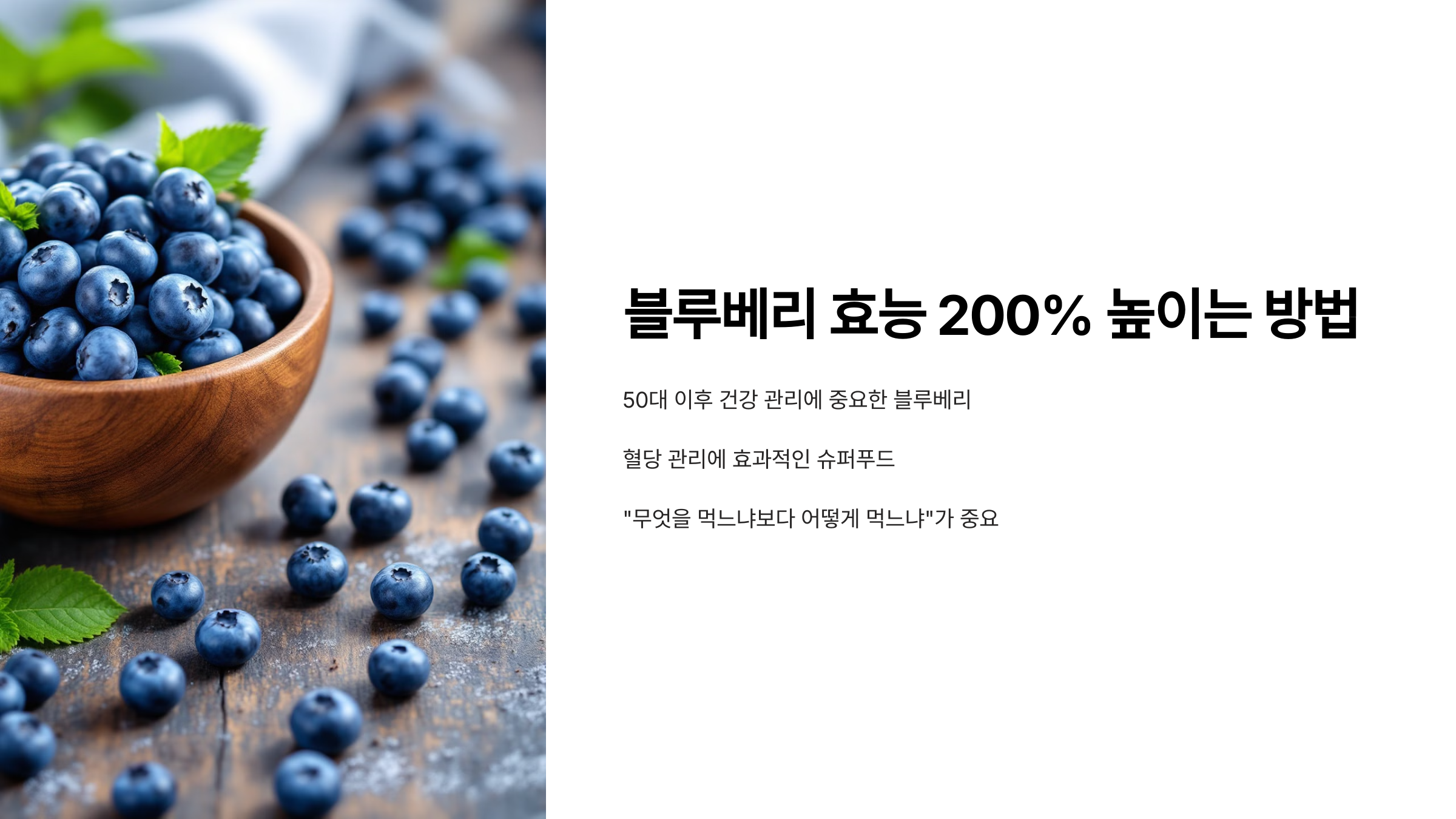 블루베리사진