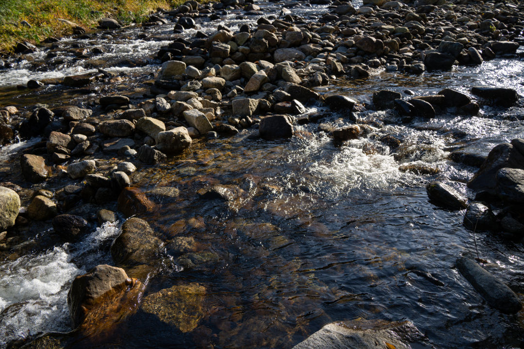 유명산 밸리 캠프장 계곡
